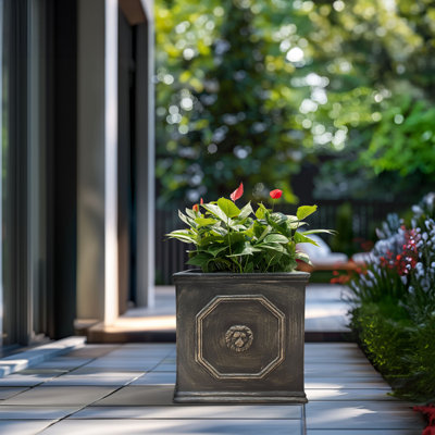 Pot décoratif très grand et décoratif en béton pour l'intérieur et l'extérieur