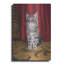 «Chaton gris et rideau rouge» par Ja «Luxury Kitten And Red Curtain» par Janet Pidoux-101657549