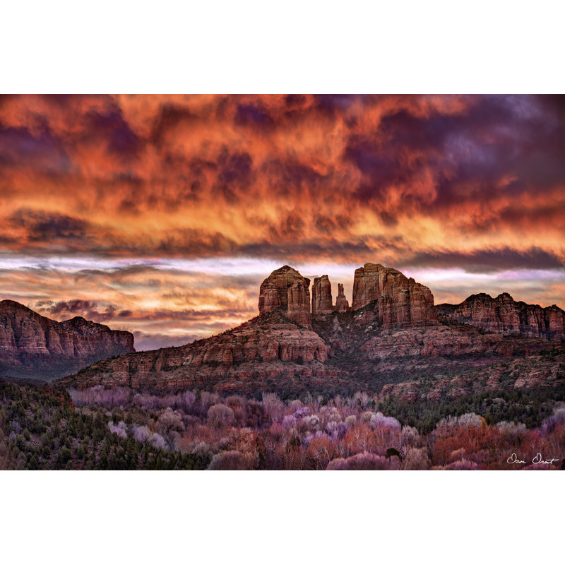 Pink Morning Glory IV by David Drost - Wrapped Canvas Print, 30cm H x 46cm W x 3.8cm D