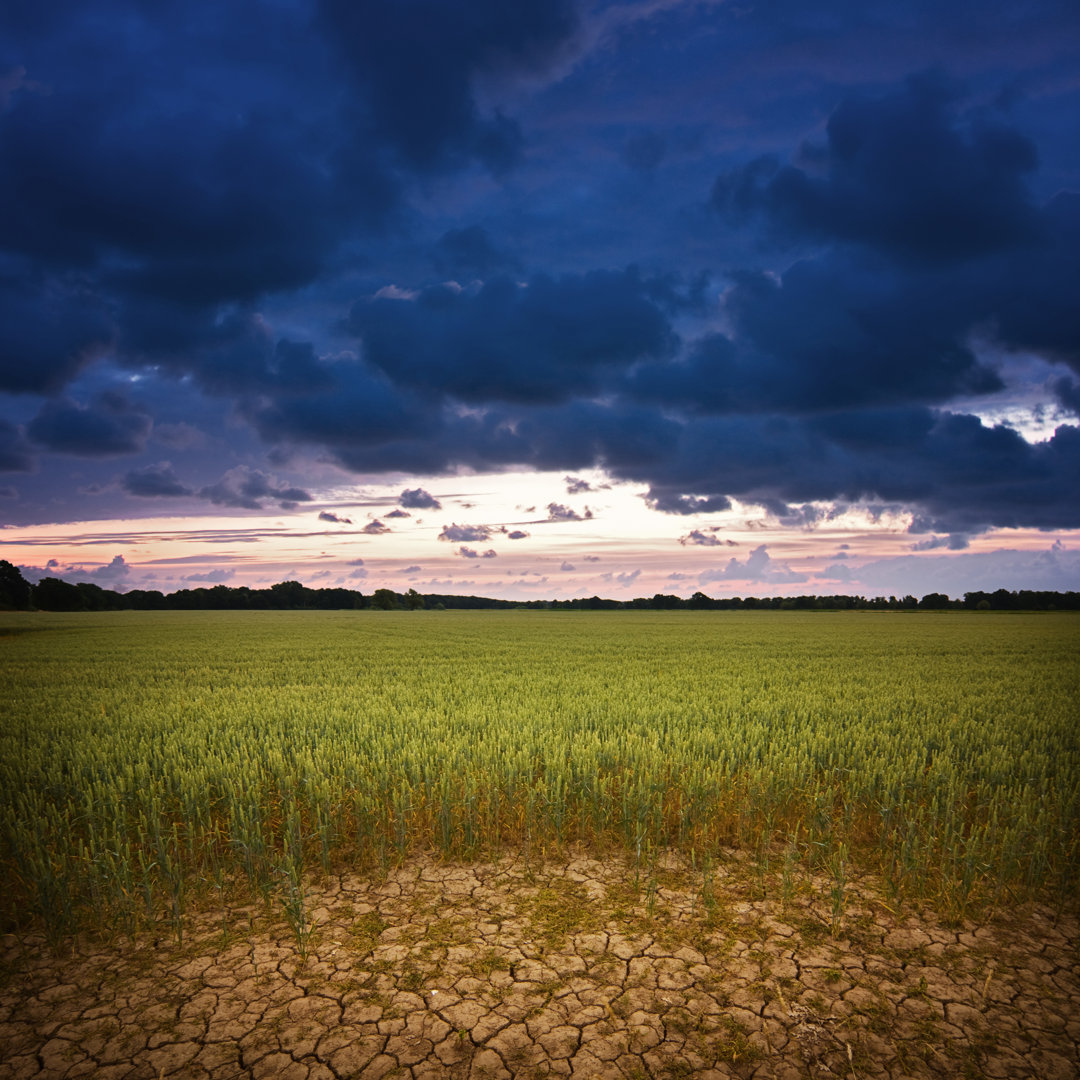 Dunkle Wolken über dem Feld bei Sonnenuntergang von Cinoby - Ohne Rahmen auf Leinwand drucken