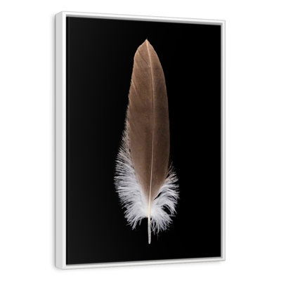 Eagle's Brown Feather