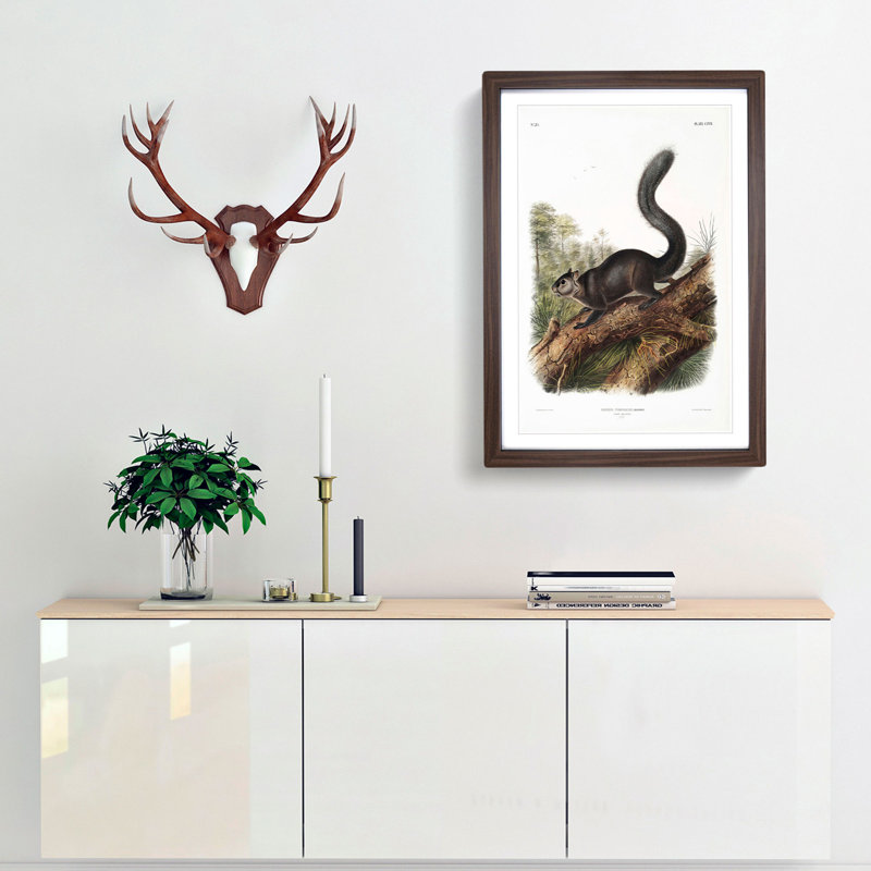 Dusky Squirrel by J.W. Audubon - Picture Frame Painting Print, 48cm H x 36cm W x 2cm D, Walnut Framed