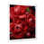 White Picture Frame