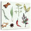Yarlin herbes et épices pour la cuisine-109358939