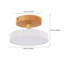 3 Colours Dimmable Modern Acrylic LED Ceiling Light-339880060