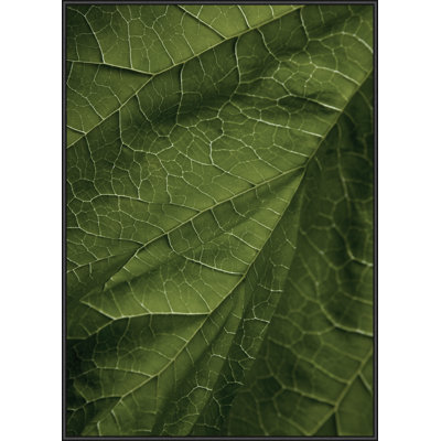 Single Picture Frame Print