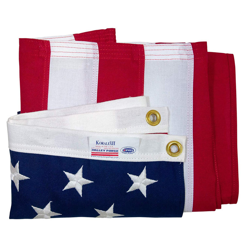 Valley Forge 3 ft x 5 ft Multicolored Polyester American Flag