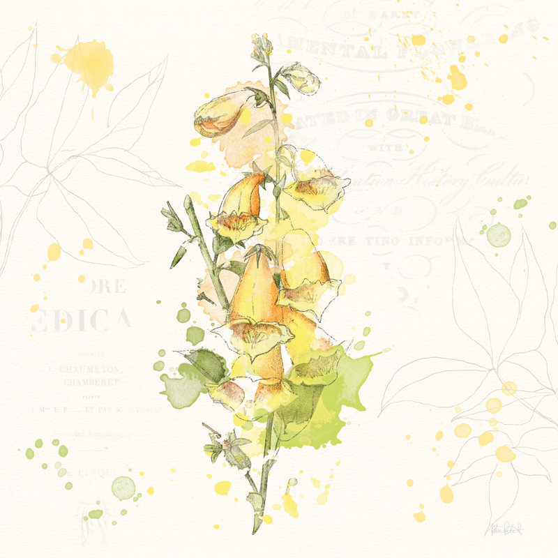Floral Splash IV by Katie Pertiet - Wrapped Canvas Print, 30cm H x 30cm W