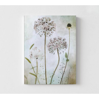 Fleurs sauvages