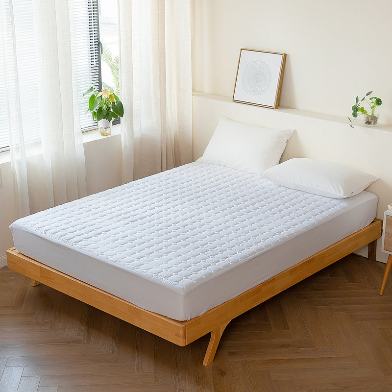 Mattress Protector Case Pack