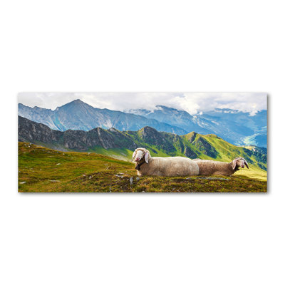 Sheep In The Alps - Wrapped Canvas Print