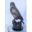 Nifao Collection Birds Animals Bronze Garden Statue