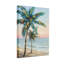 «Plants & Flowers Palm Trees Beach Ocean Sunset Sky», reproduction d'art sur toile-394280563