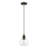 1 - Light Single Pendant-1627737528