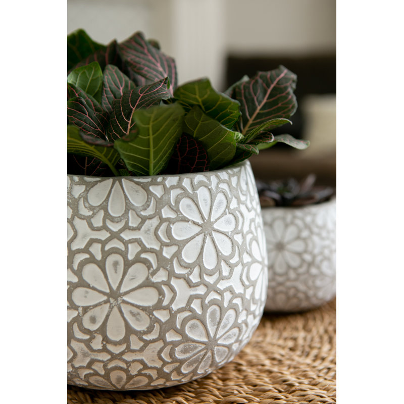 5.5 in. Marguerite Planter