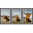 Illings Sweeping Horns - 3 Piece Single Picture Frame Print Set