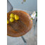 Assiette décorative en verre doré / brun