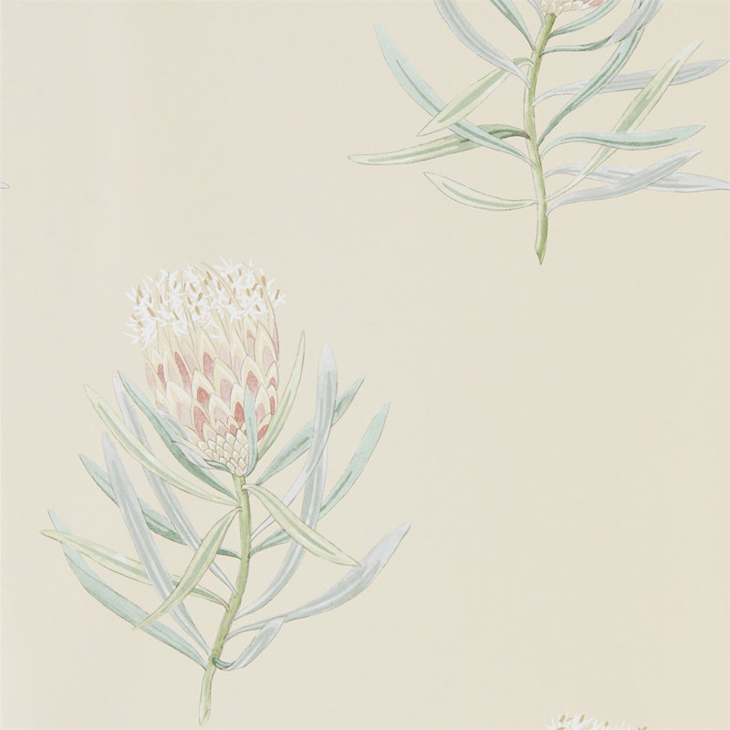 Protea Flower Wallpaper, Russet/Green