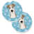 Fox-terrier à poil dur