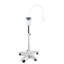 Machine de blanchiment des dents DEL mobile