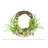 22'' Wreath with Carnations and Echinops