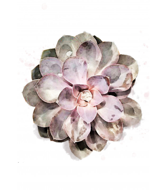 Wrapped Canvas Print, 121.92 cm H x 81.28 cm W