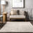Enida Casual Farmhouse Wool Blend Area Rug-175092714
