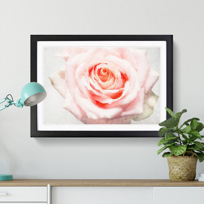 Pale Pink Rose - Picture Frame Graphic Art Print