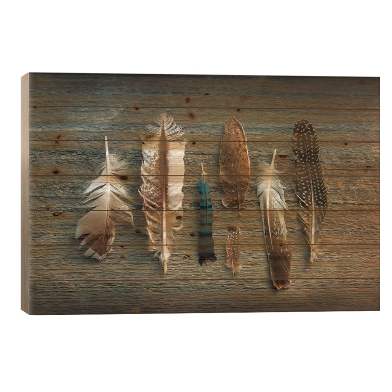 Collection Feather I par Sue Schlabach - impression sur bois sans cadre, L 40 po x H 26 po