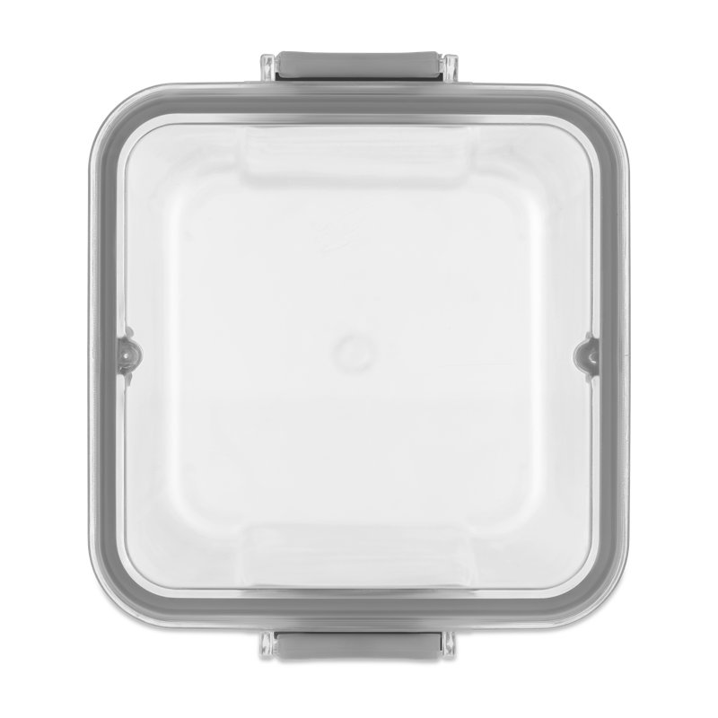 Food Storage - Set of 2 Containers and 2 Lids