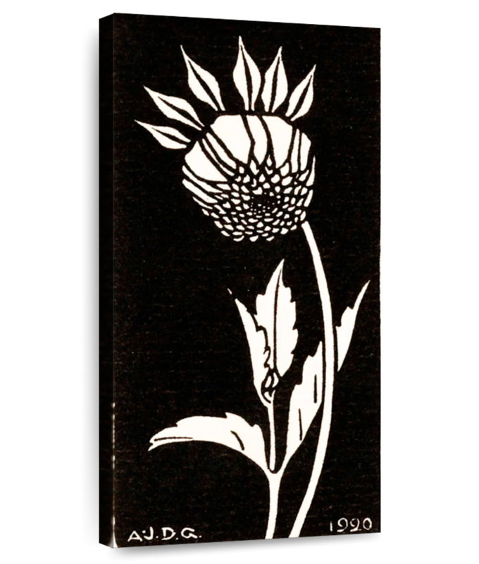 Dahlia 1920, H 36 po x l 18 po