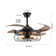 Ceiling Fan Light
