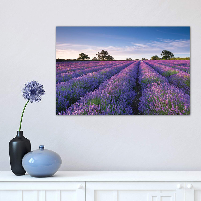 Lavender Field by Adam Burton - Wrapped Canvas Print, 30.48 cm H x 45.72 cm W