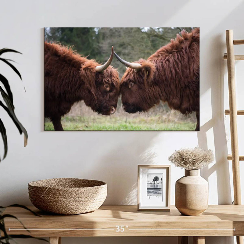 Brampt Highland Cow Clash, 16" H x 24" W