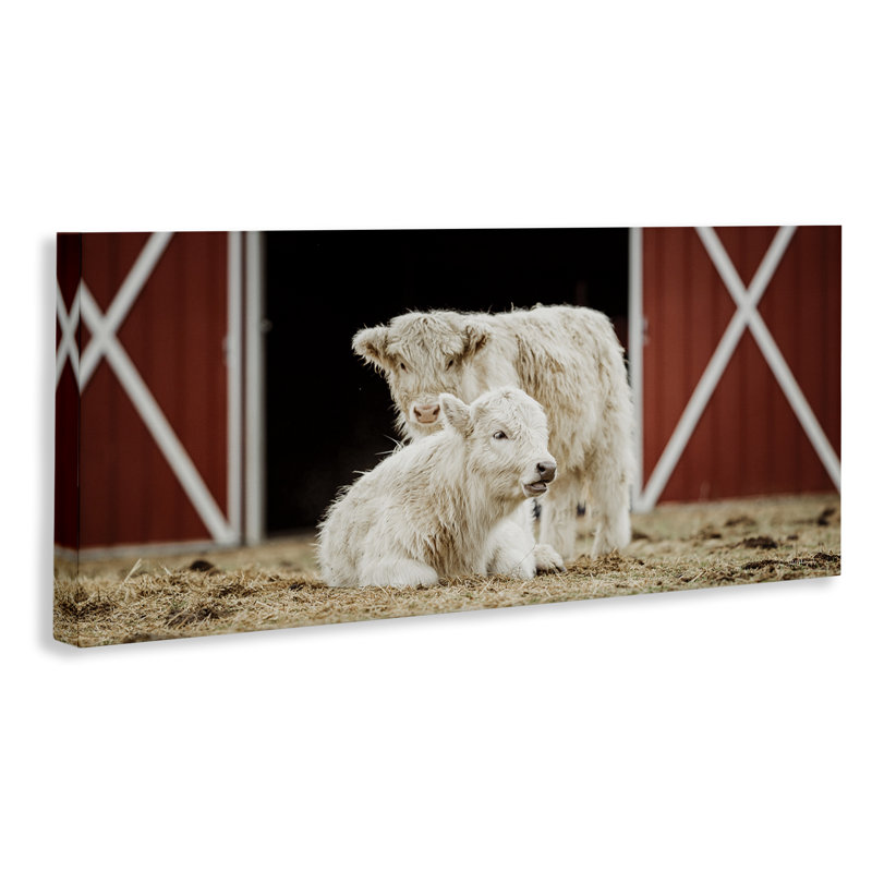 Art mural sur toile de grange blanche par Dakota Diener, H 17 po x l 40 po