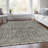 Machine Washable Indoor/Outdoor Xhevrie Pewter Rug-1765493901