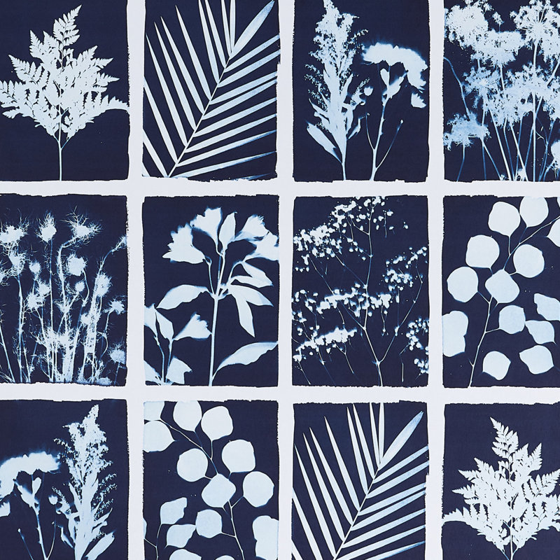 Cyanotype Panel, Indigo