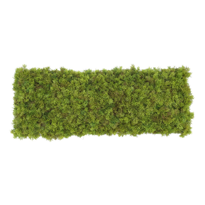 Moss 6" Artificial in Fiberstone Planter, 7"H x 25"W x 9.5"D, White