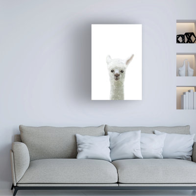 Lama