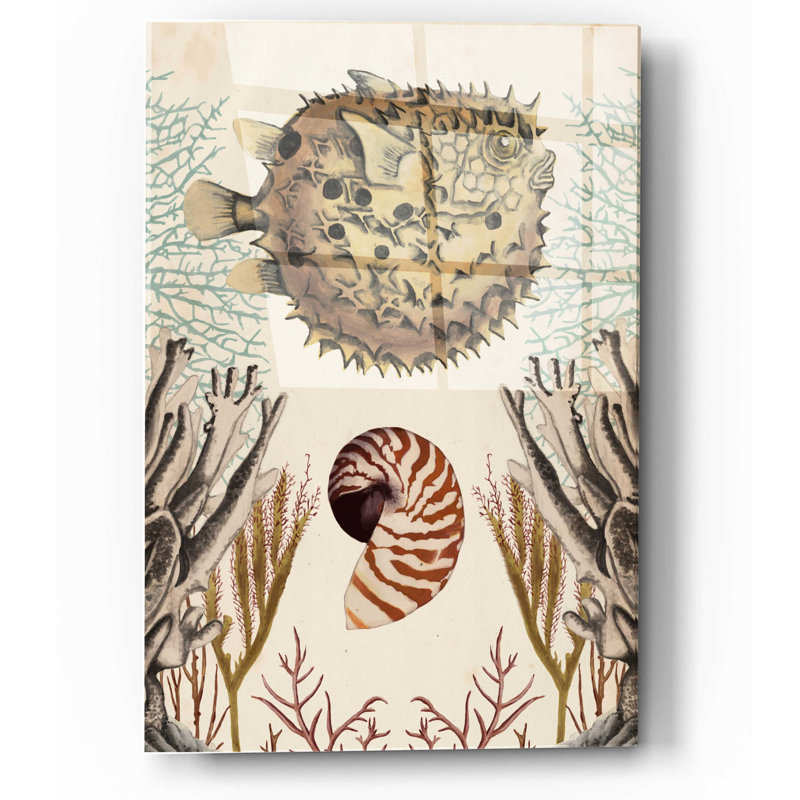 Epic Art 'Antiquarian Menagerie-Puffer Fish' By Na " Antiquarian Menagerie-Puffer Fish " by Naomi McCavitt