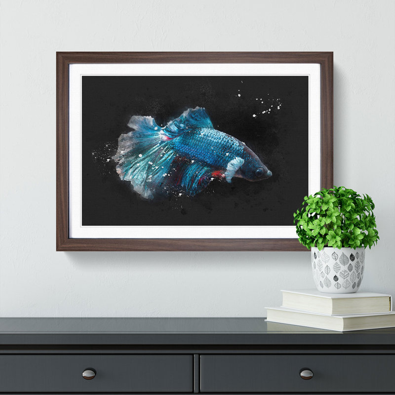 Blue Siamese Fighting Fish - Single Picture Frame Painting on MDF, Walnut Framed, 45cm H x 63cm W x 2cm D