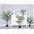 Artificial Areca Palm Tree in Pot-906890057