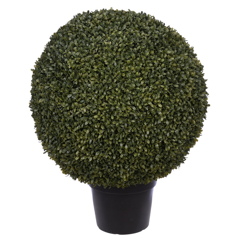 30'' Faux Boxwood Topiary in Pot, 14"Diameter