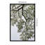 «Pleasantville Coastal Forest» par Shot par Clint Wood, reproduction d'art encadrée-1453798635-1453798634