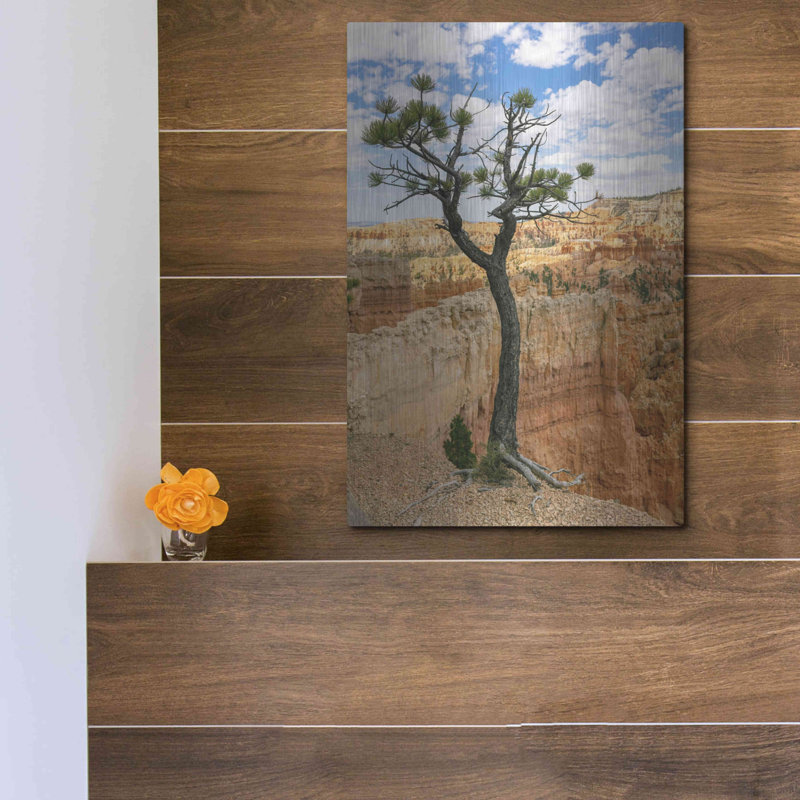 " Utah Bryce Canyon Tree " by AKG, 16" H x 12" W