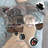 Foldable Pet Stroller