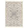 Oriental Indoor Rug