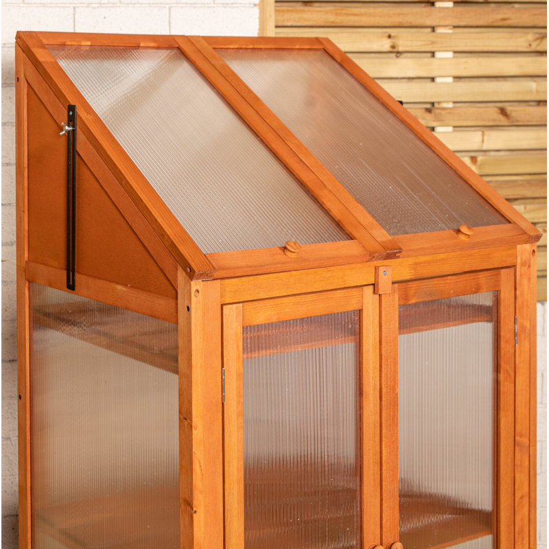Samuel Alexander 2Ft. W x 2Ft. D Mini Greenhouse 