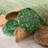 Sherise Hand Woven Jute Cotton Rug-1005496681
