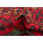 Rizbaft Red Rug 3'6" x 6'6"